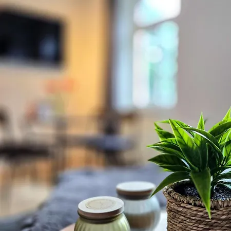 Nuwilu Two - Wohlfuehlapartment Im Herzen Erfurts - Magenta Tv- Netflix - Διαμέρισμα *