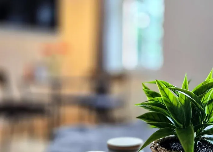 Nuwilu Two - Wohlfühlapartment Im Herzen Erfurts - Magenta Tv- Netflix - Apartment *