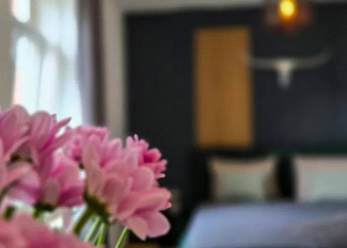 Nuwilu Two - Wohlfühlapartment Im Herzen Erfurts - Magenta Tv- Netflix - *